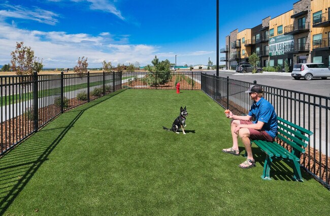Bark Park