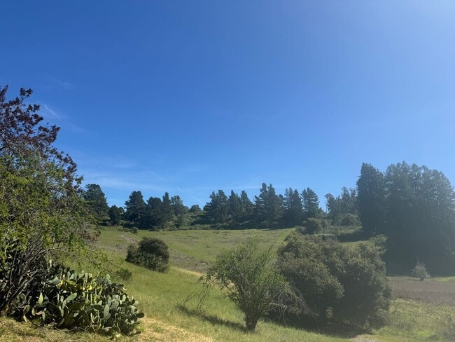 Photo - Peaceful Country Living