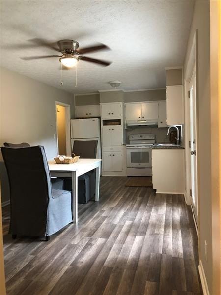 Photo - 409 Shamrock Dr