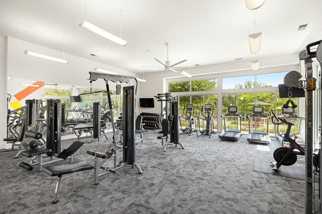 24-Hour Cardio and Strength Training Fitness Center - Bexley 3FIVE