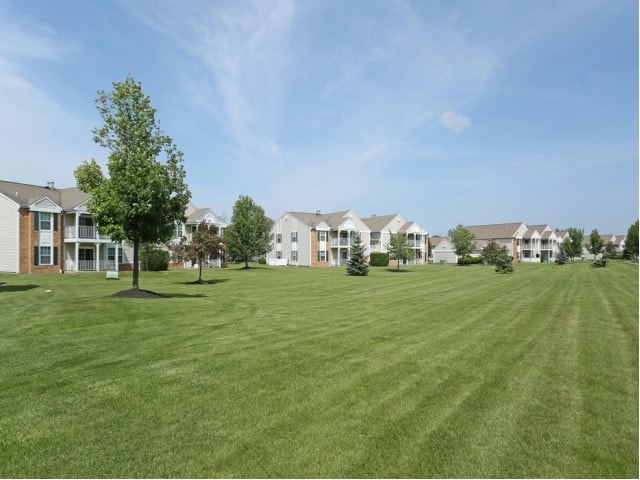 Lush Landscaping