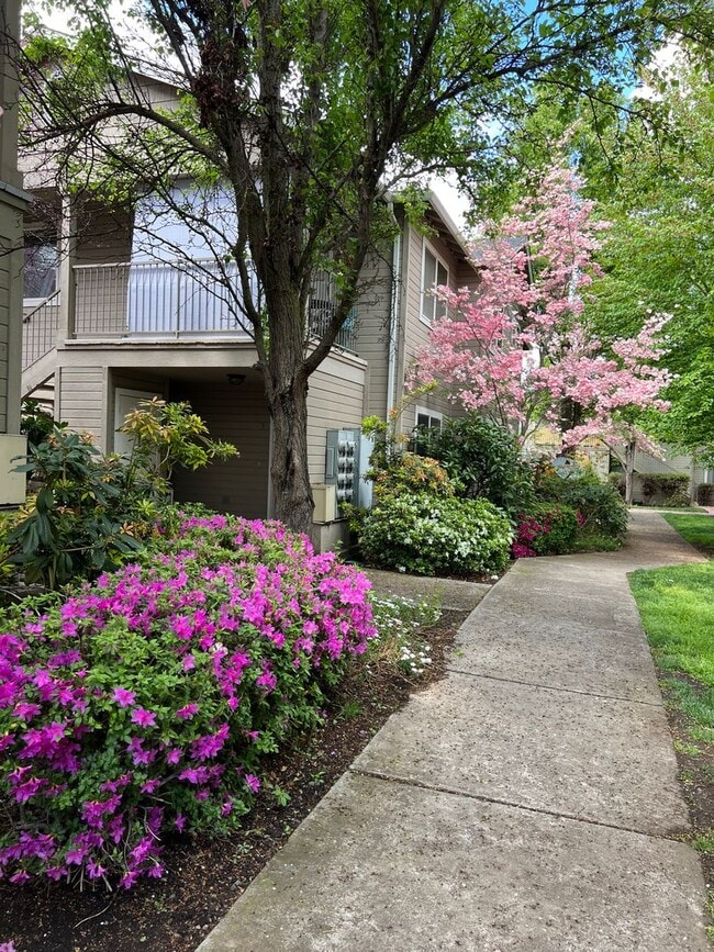 Photo - 3163 Juniper Ridge Dr Unidad 11