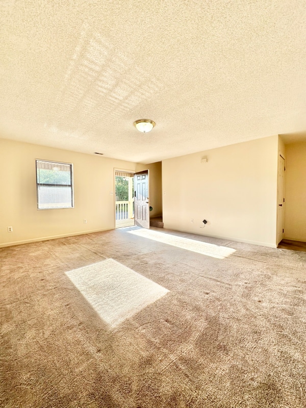 Photo - 338 Old Gray Station Rd