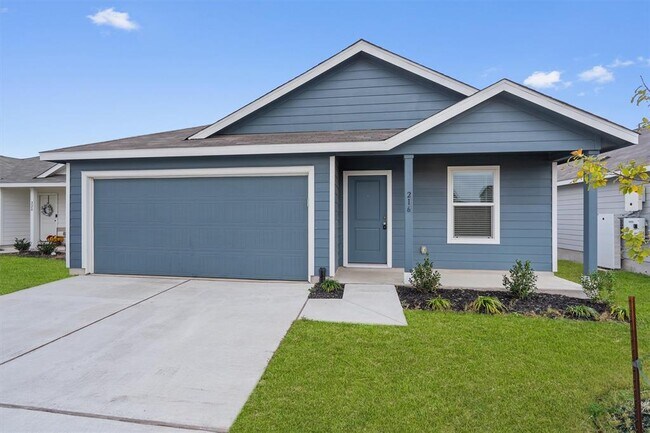 Photo - 216 Little Sparklers Lp