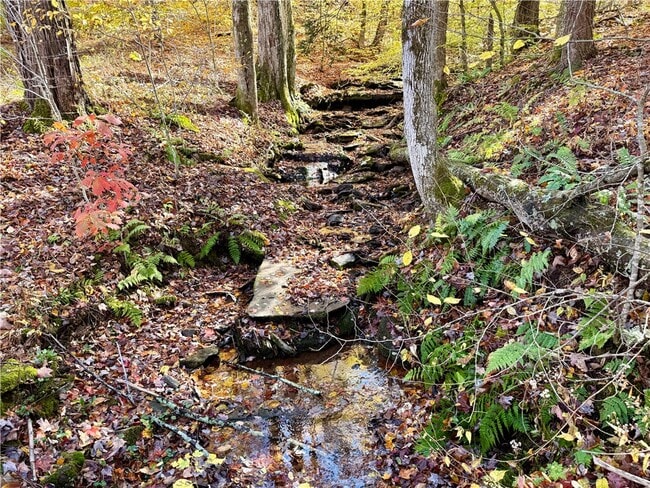 Photo - 221 Centennial Farm Ln