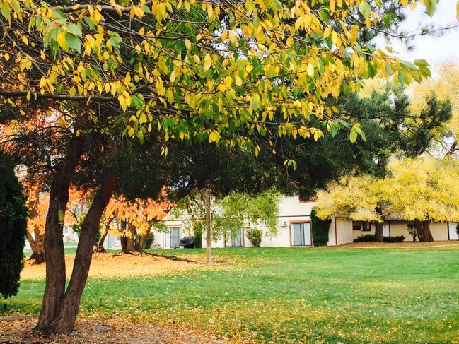 Fall at Park Place