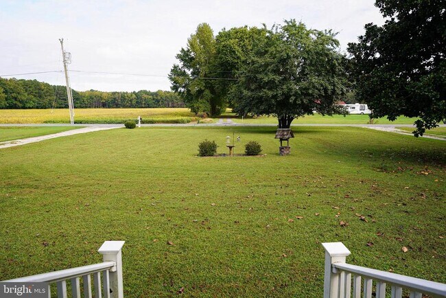 Photo - 29325 W Line Rd