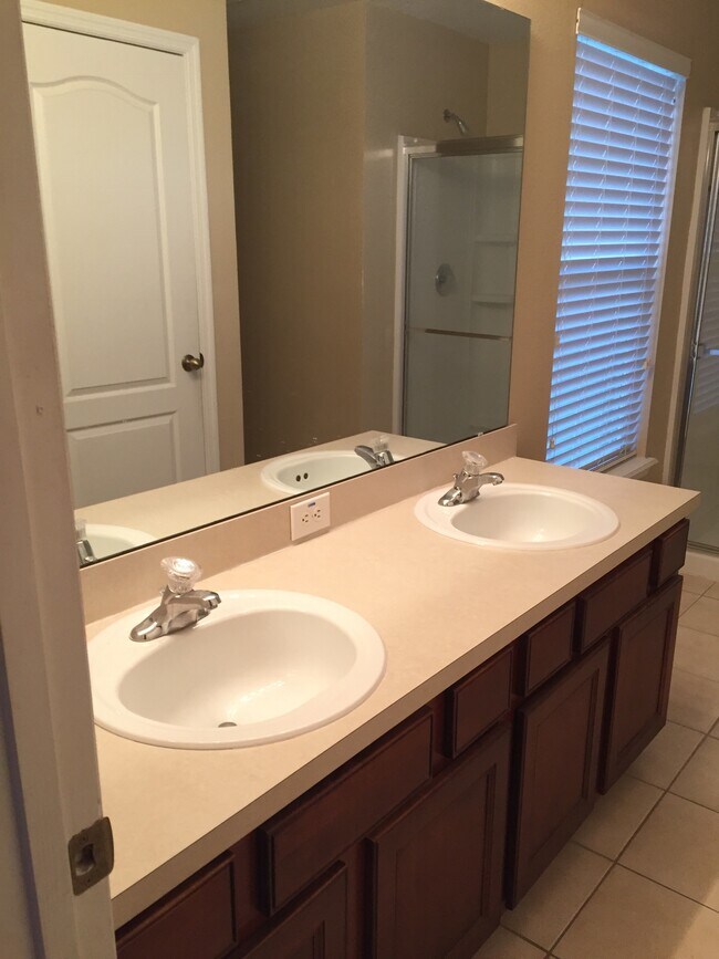 Masters bath - 4045 Pemberly Pines Cir