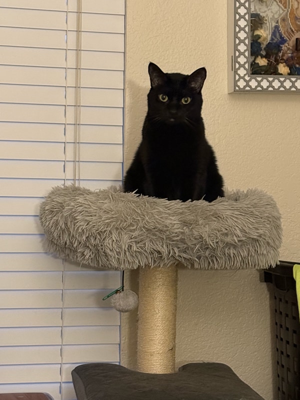 Photo - 8653 Danridge Dr