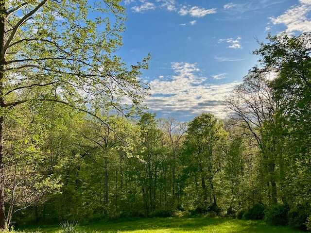 Photo - 1770 IN-46 Unidad 2 D