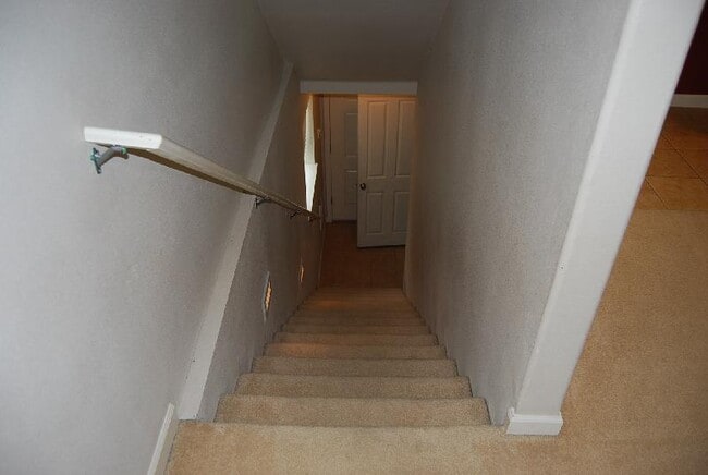 Photo - Low Maintenance, High Enjoyment in Salmon ...