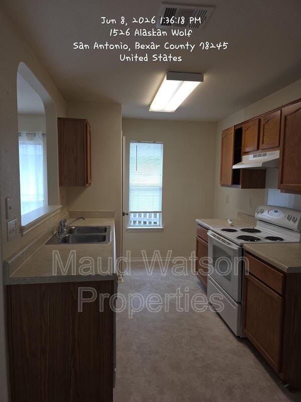Photo - 1526 Alaskan Wolf