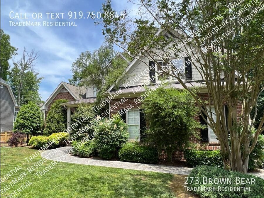 Photo - 273 Brown Bear