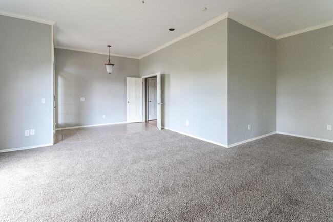 Photo - 904 Julies Trl