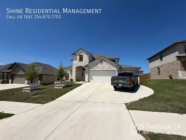 Photo - 1729 Friesian Lp