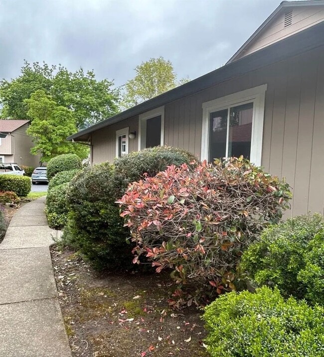 311 Algiers Ct