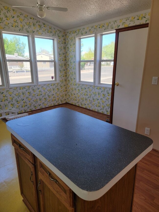 Photo - Bright 3-Bed, 2-Bath Home with Yard in 55+...