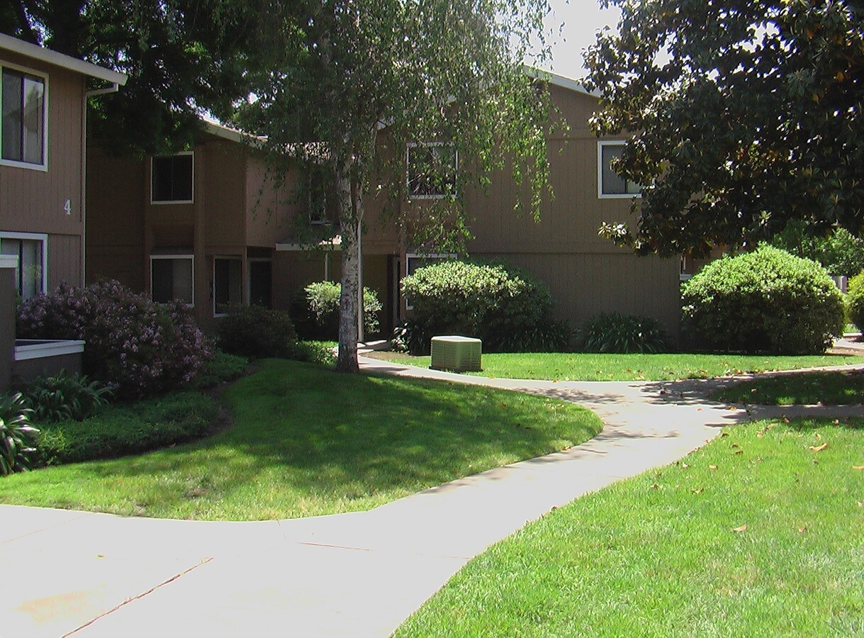 Cedar Village - Cedar Village Apartments