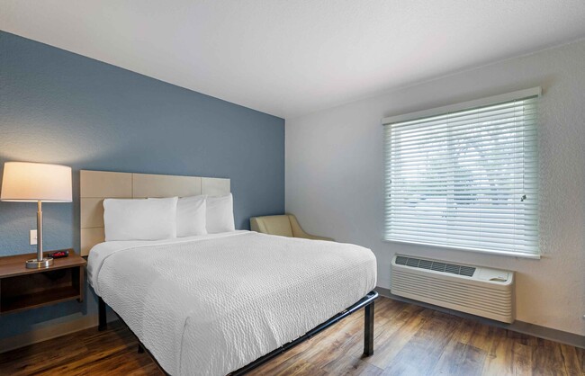 Furnished Studio-Tampa - Northeast
