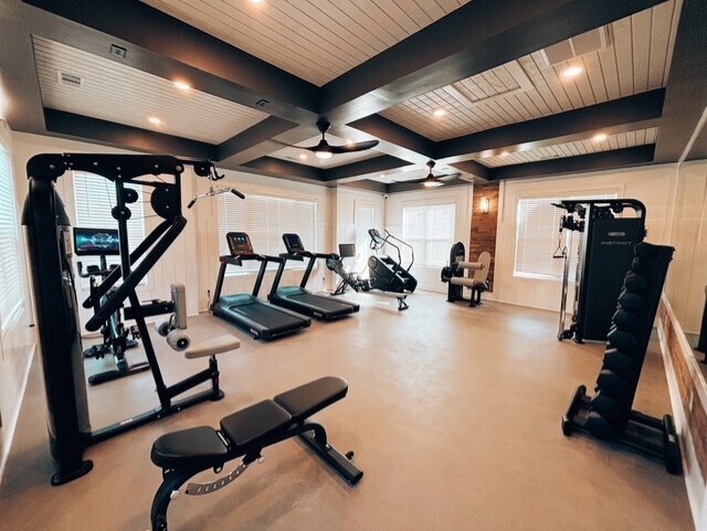 Gym - Odyssey at Mallette Gardens