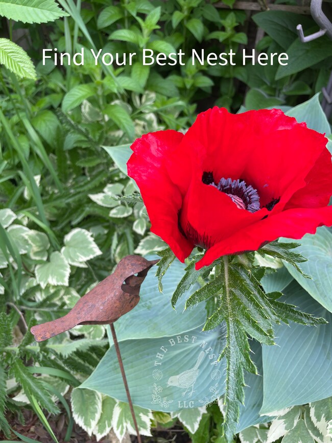 Photo - 1427 N Hawley Rd