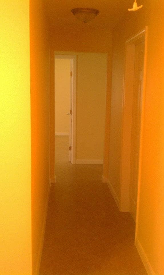 Photo - 4109 Duval St Unit B