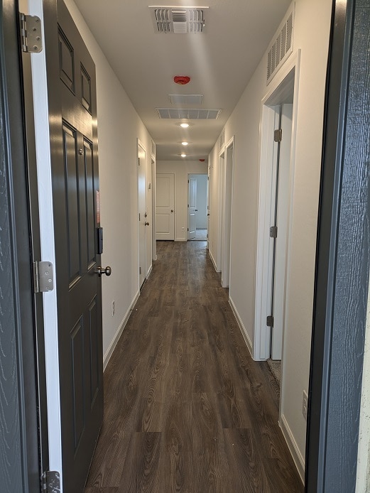 Photo - 1346 W Toltec Dr