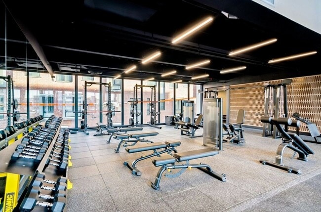 Gimnasio (acceso) - The Americana