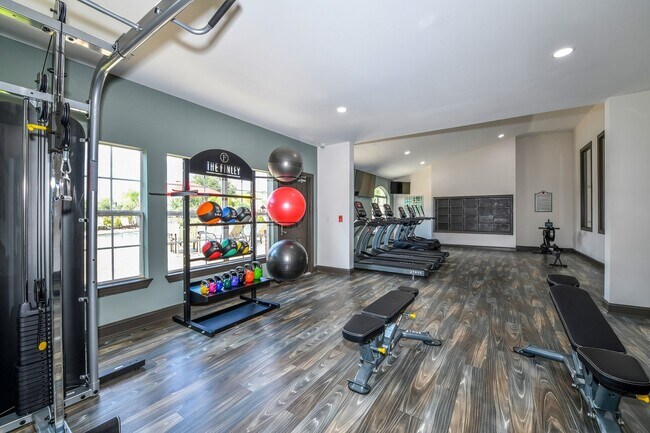 Gimnasio - The Finley