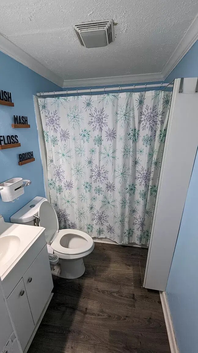 Photo - 203 Johnson St