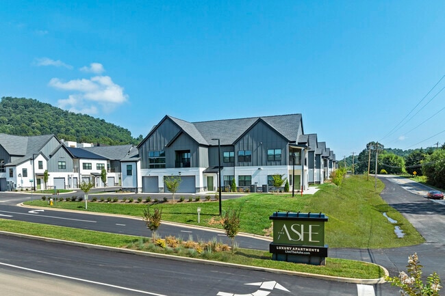 Building Photo - The Ashe Rental