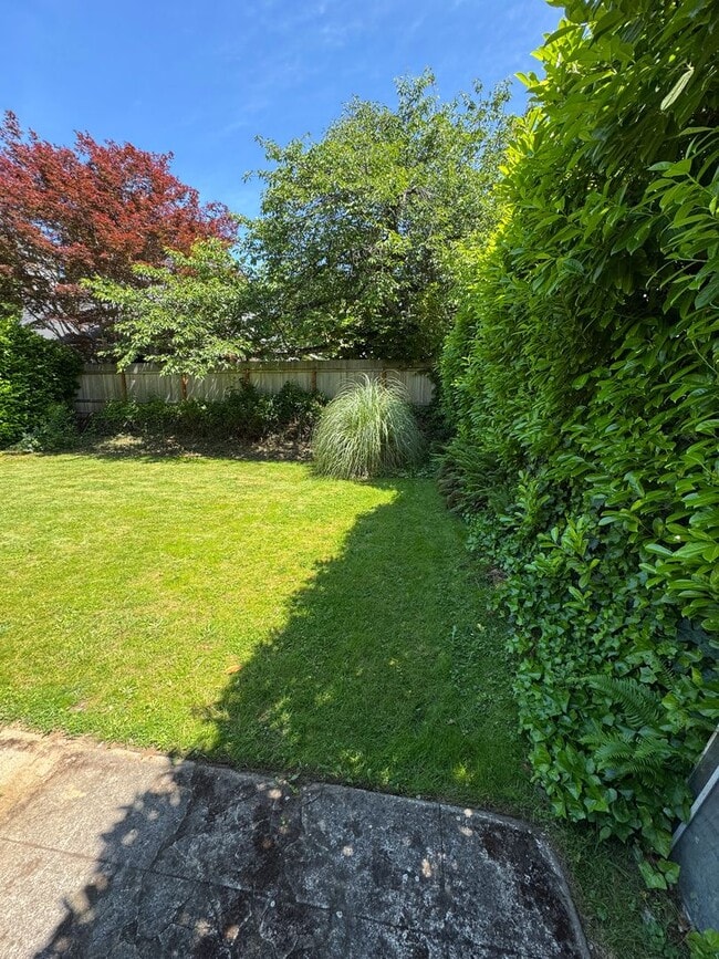 Photo - Beautifully Renovated Reed Neighborhood Craftsman | Huge Backyard | Available Mid-August