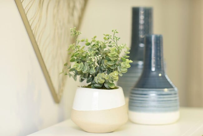Modern Decor