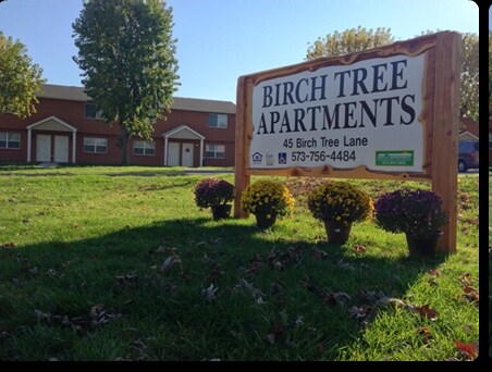 Photo - Birch Tree Apartments