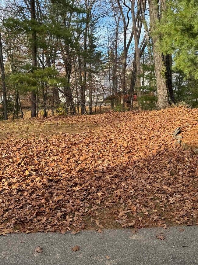 Photo - 16 High Bridge Hl