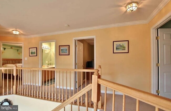 Photo - 15409 Bald Eagle Ln