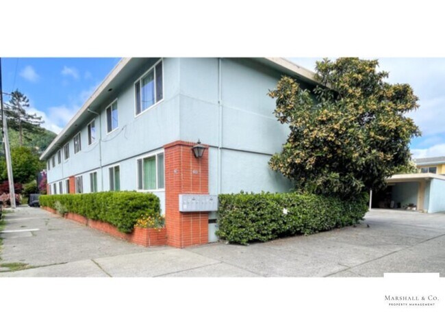 Photo - NEW LISTING! Walk 1 Block To Downtown! Sec. Deposit lowered! LG. 1 BR/1BA, Hdwd Flrs,Big Walk-In Clo