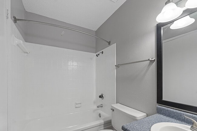 Photo - Maverick on Gilmer