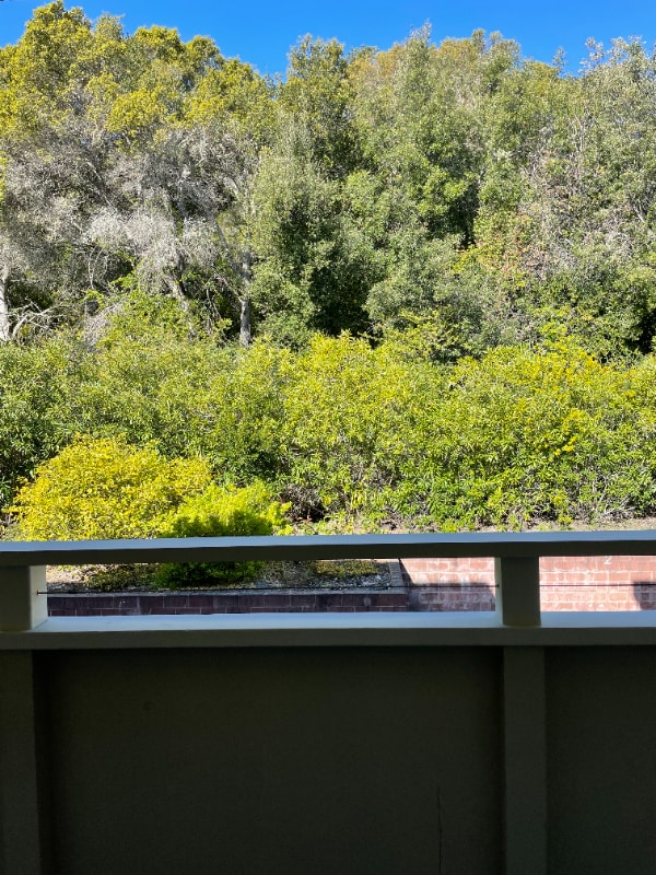 Photo - 3224 Palos Verdes Ct Unit 206