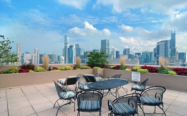 Rooftop Deck - 435 W Erie St Rental