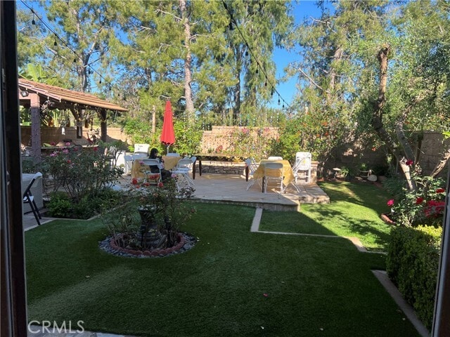 Photo - 27 Tree Clover