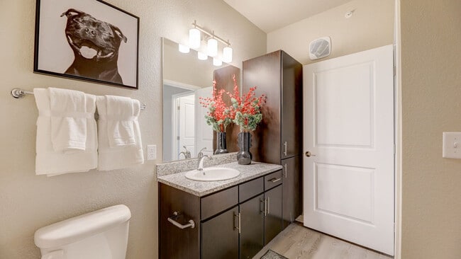 Photo - Springs at Stadium Village