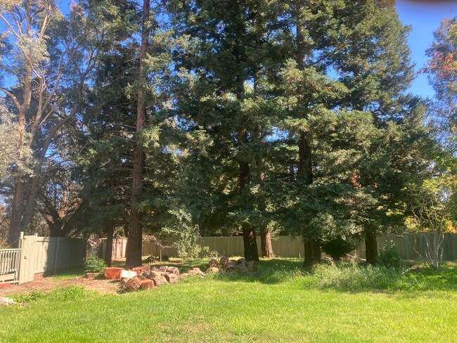 Photo - 12523 La Vida Ln