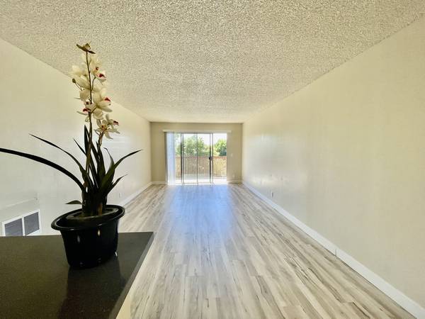 Photo - Bel Tempo Apartments