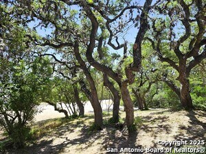 Photo - 11266 PR 37
