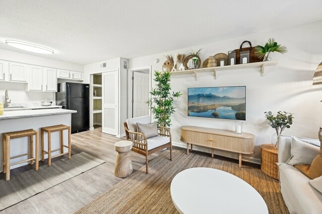 Art Museum Dr-006 - The Landings at San Marco