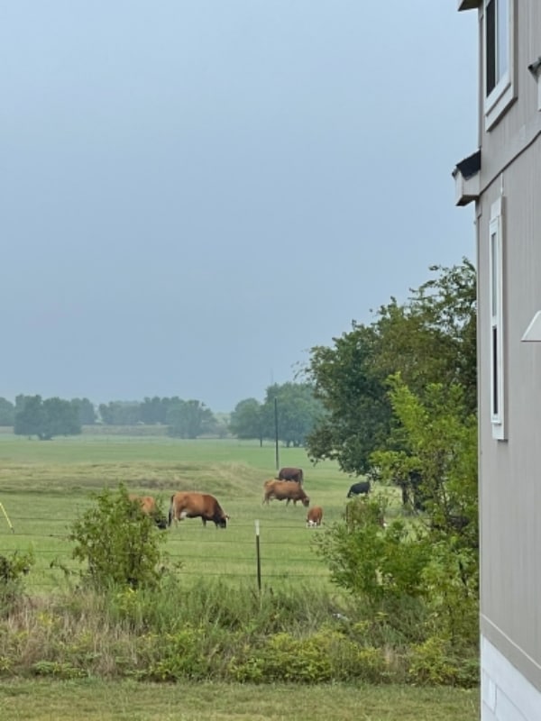 Photo - 149 Ridge Rd