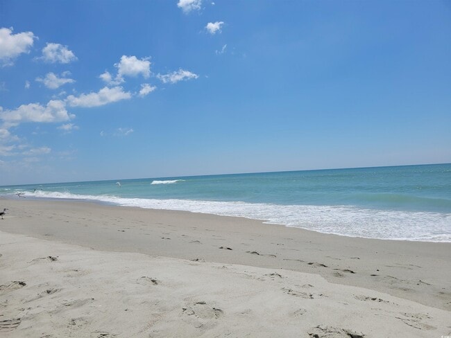 Photo - 3712 Park Pointe Ave