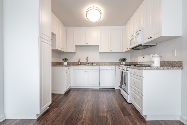 Designer Kitchens with Granite Countertops