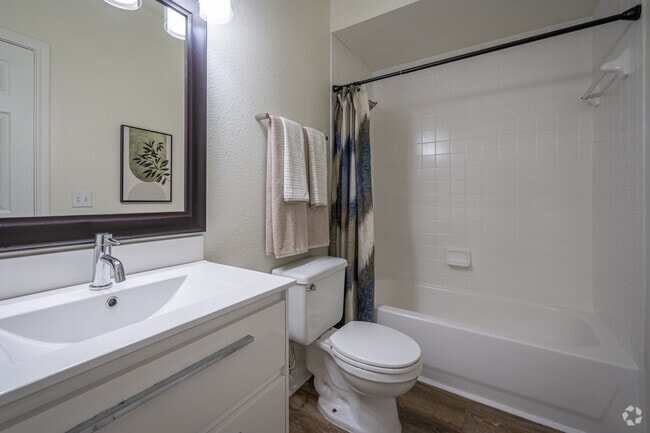 2BR, 2BA - 981SF - Primary Bathroom